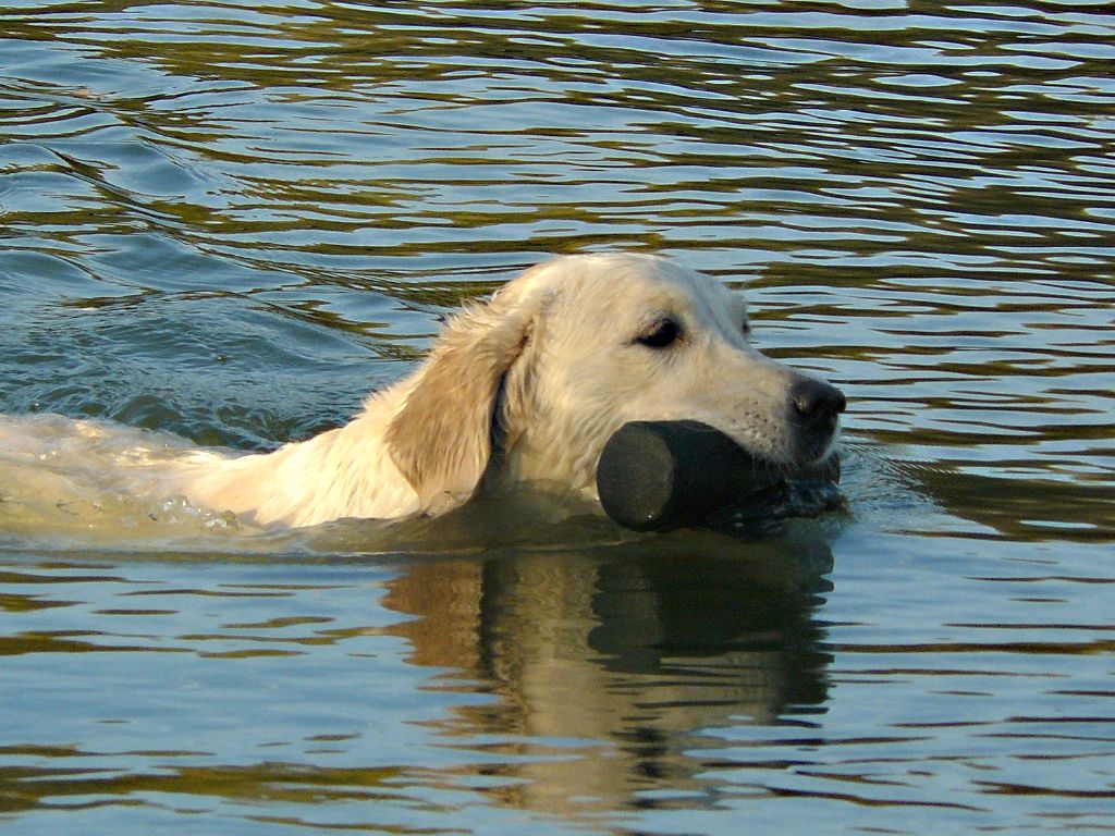 TR. Brava vuelta l'etang de baillescourt